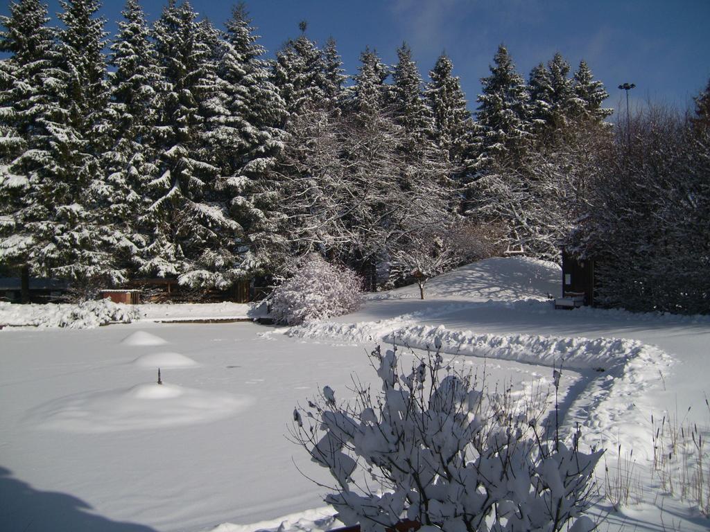 Heidehof Hellenthal Villa ภายนอก รูปภาพ