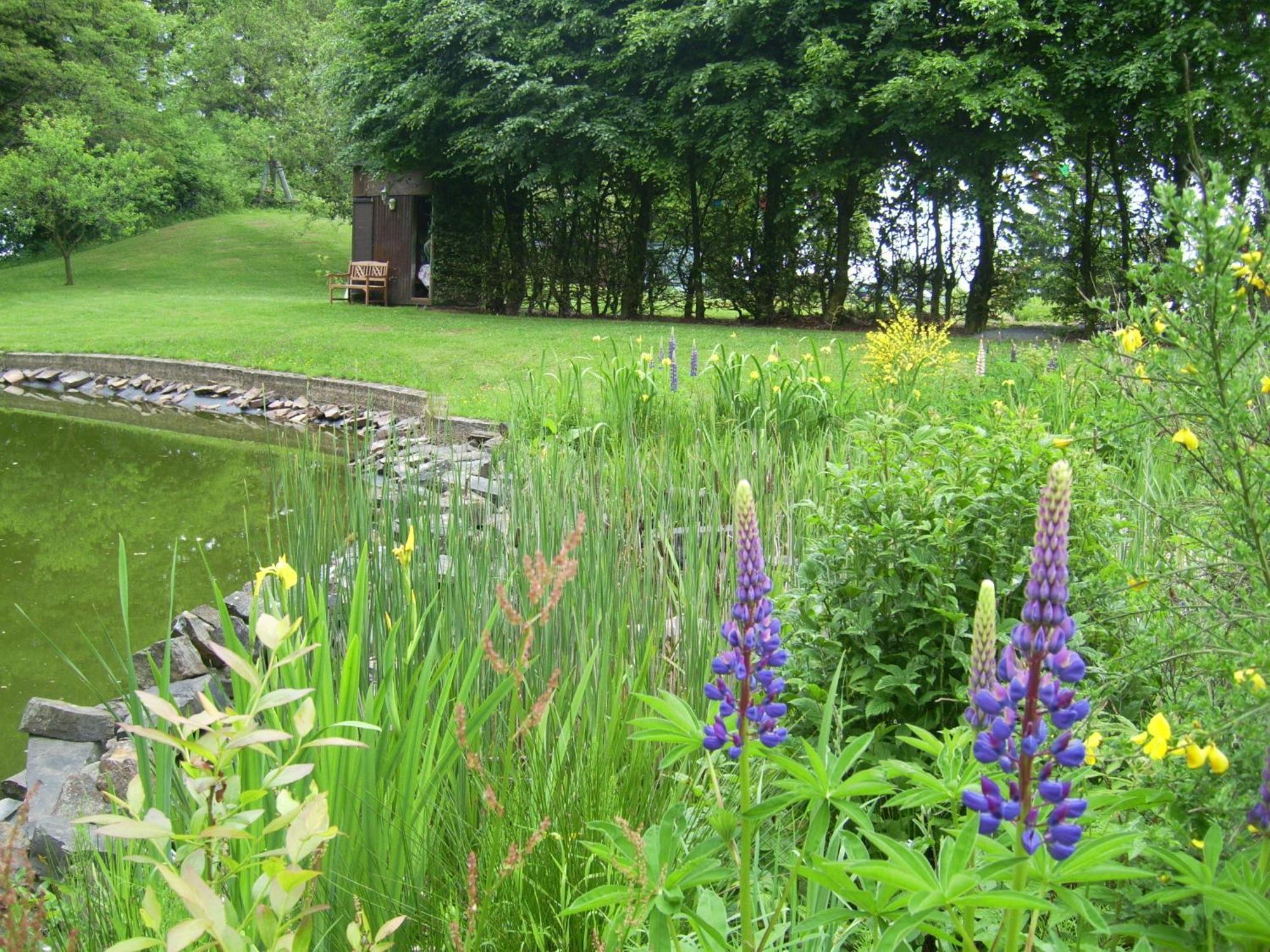 Heidehof Hellenthal Villa ภายนอก รูปภาพ